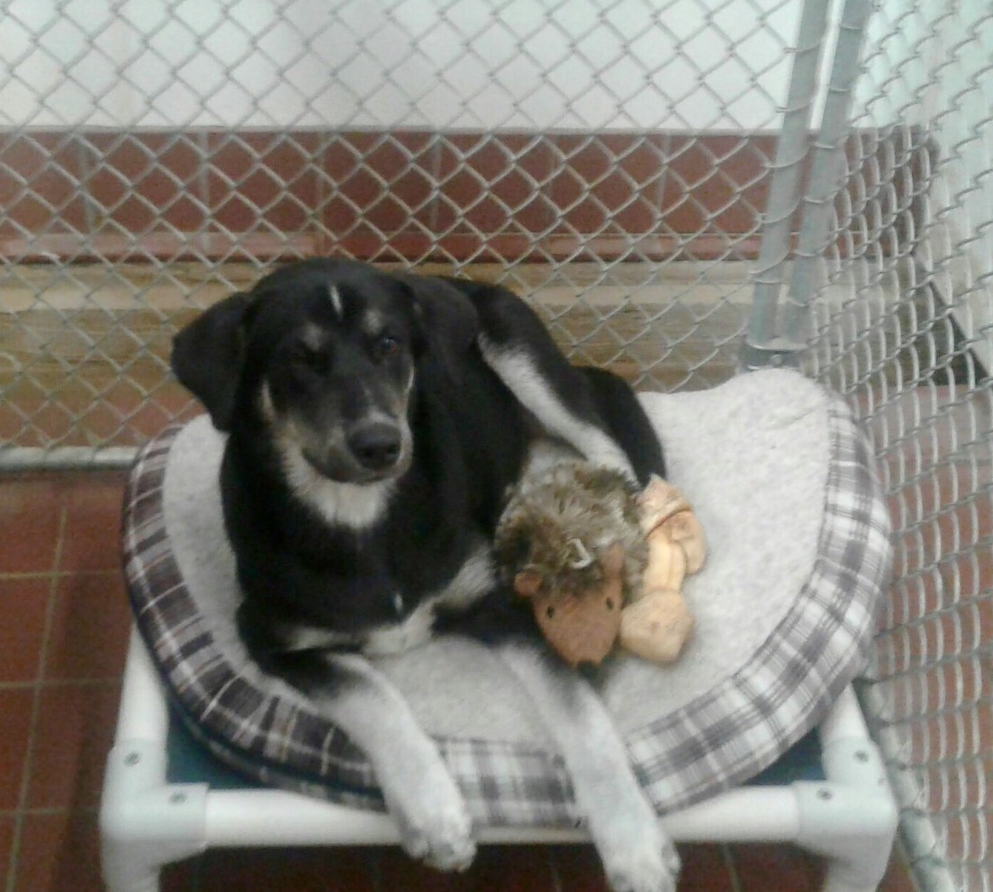 home health care lake charles la